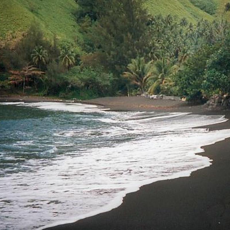 fotogallerie